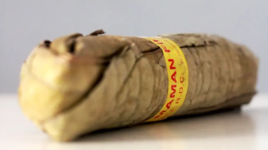 Gebundenes Bündel Blätter auf weißer Oberfläche.