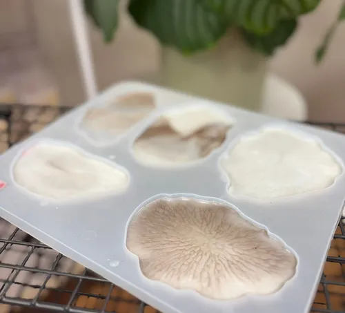 Mushrooms in tray on metal rack indoors.