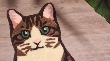 Katzenförmiger Teppich auf Holzboden.