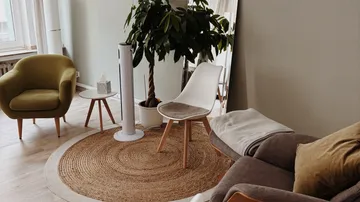 Wohnzimmer mit Stühlen und Pflanzen, ruhige Atmosphäre.