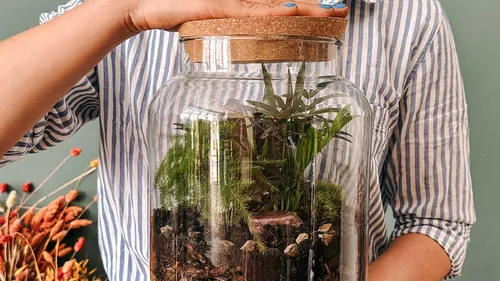 Person legt Deckel auf ein Terrariumglas.
