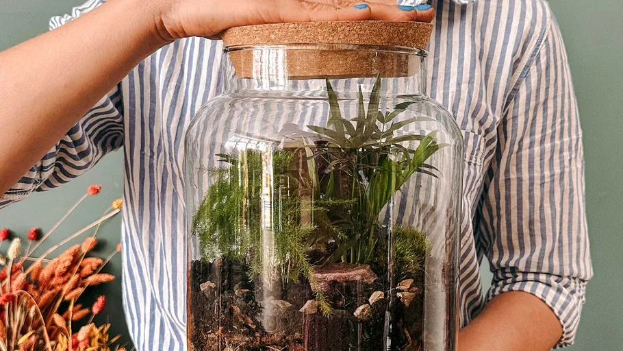 Person legt Deckel auf ein Terrariumglas.
