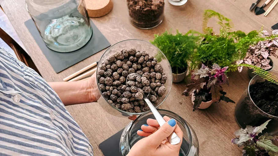 Person holding glass bowl with pebbles, plants nearby.