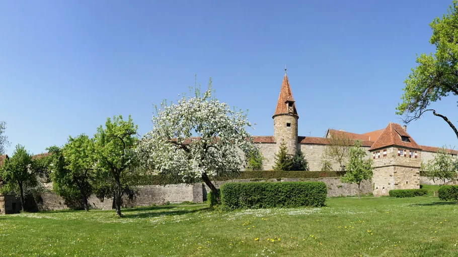 Castle with tower amidst lush green garden.
