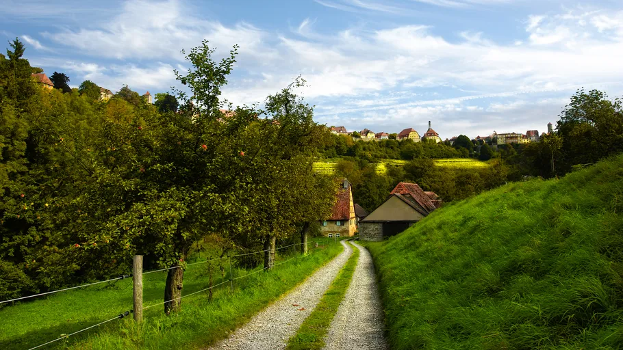 Country path leading to a village, surrounded by trees.