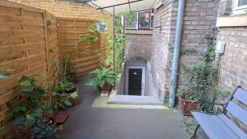 Außentreppe zum Keller, umgeben von Pflanzen.