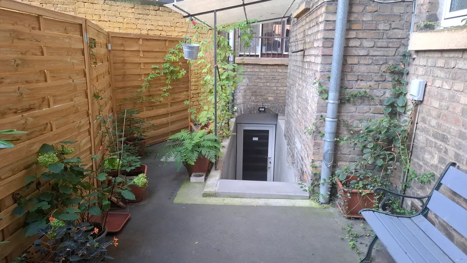 Outdoor stairway to basement, surrounded by plants.