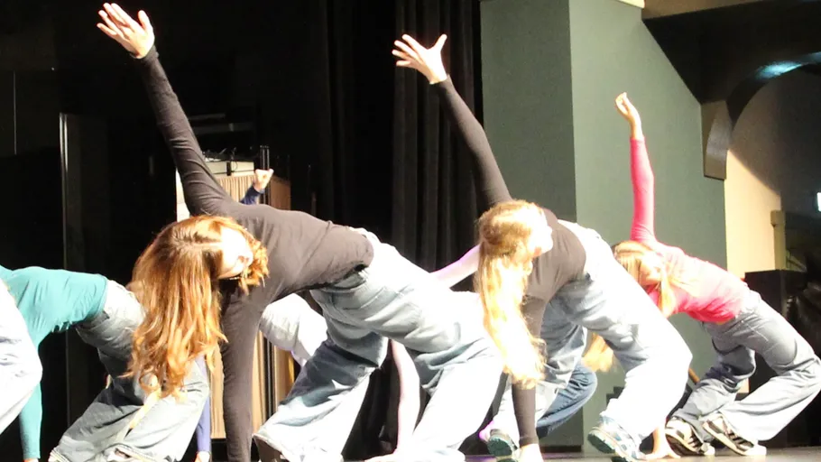 Group of dancers performing on stage.