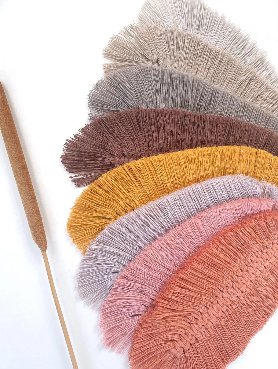 Colorful brushes arranged on white background.