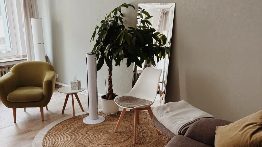 Living room with chairs, plant, and mirror.