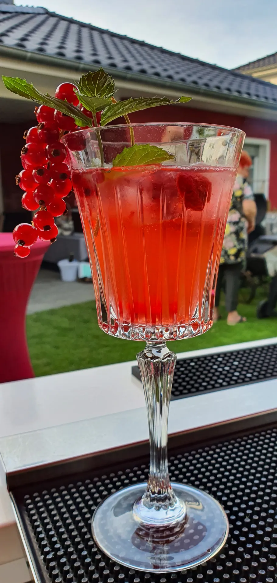 Red drink with berries in elegant glass.