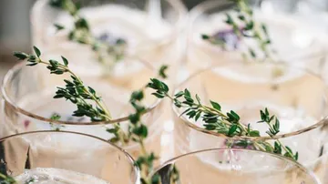 Glasses with herbs, filled with drinks.
