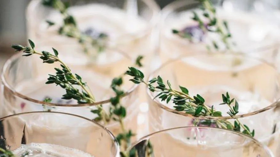 Glasses with herbs, filled with drinks.