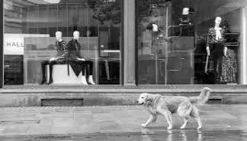 Hund läuft an Schaufensterpuppen vorbei.