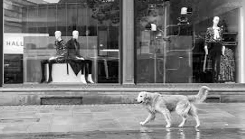 Dog walking past mannequins in store window.