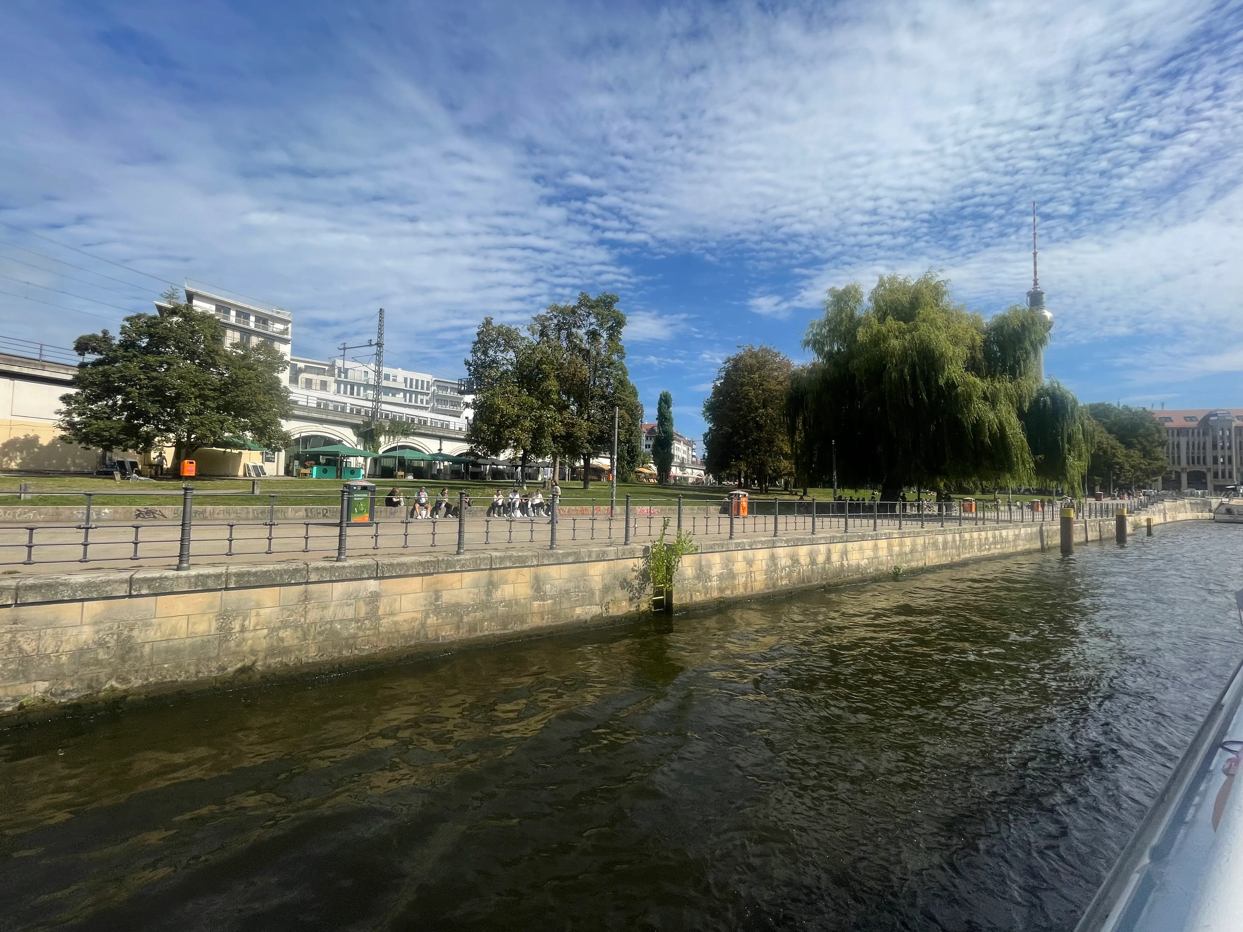 Riverbank with trees and cityscape under blue sky.