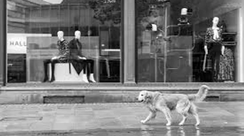 Dog walking past mannequins in store window.