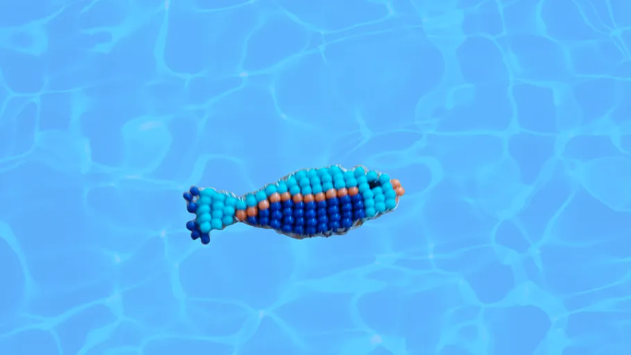 Beaded fish floating in a swimming pool.