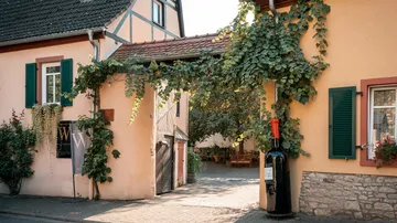 Vineyard courtyard with large wine bottle sculpture.