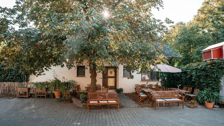 Holzbänke unter einem Baum in der Nähe eines Hauses.