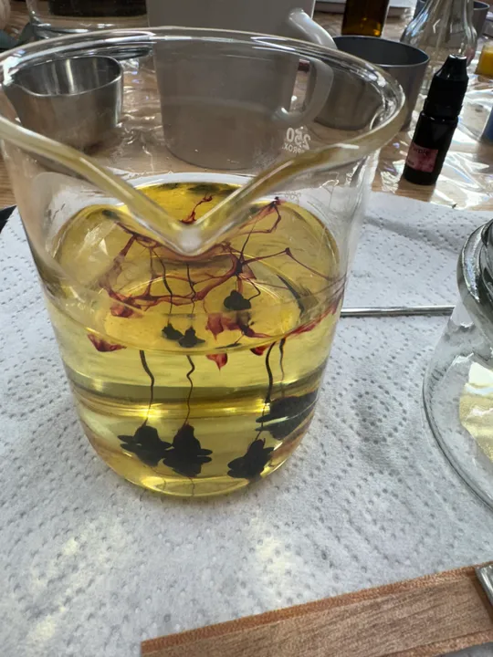Beaker of liquid with ink, kitchenware background.