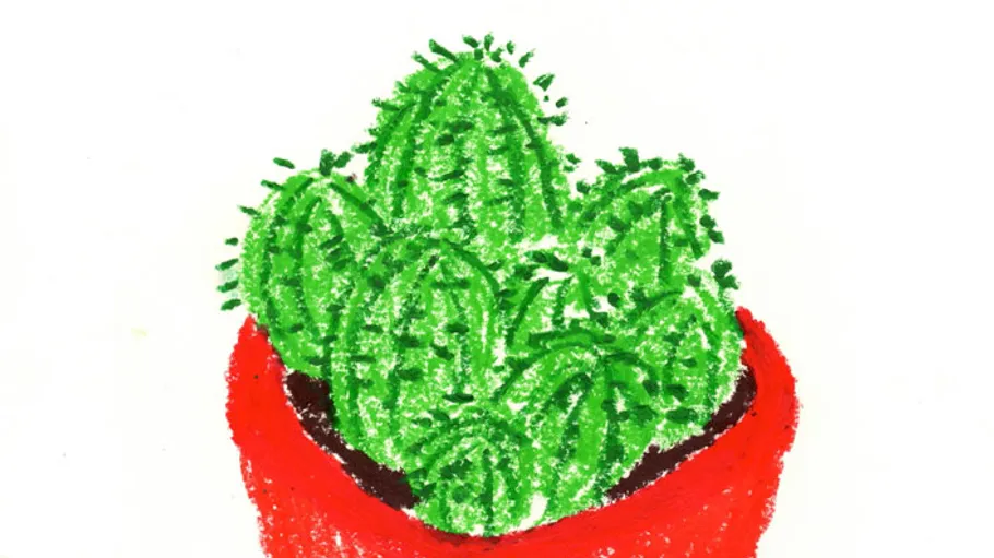 Green cactus in red pot on white background.