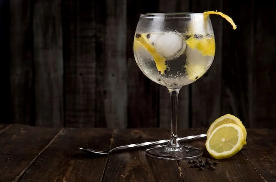 Gin and tonic with lemon on dark table.