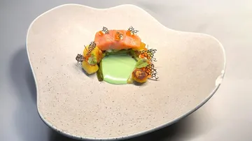 Gourmet dish with salmon in unique plate.