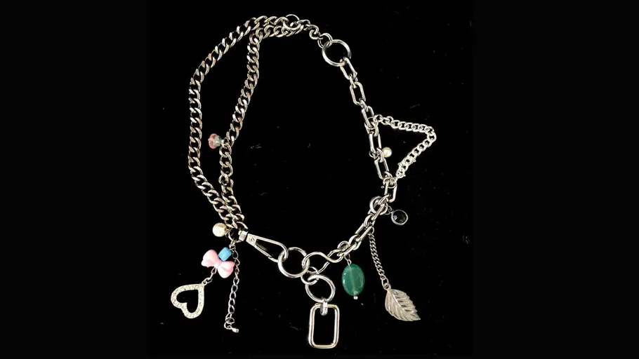 Silver necklace with various charms on black.