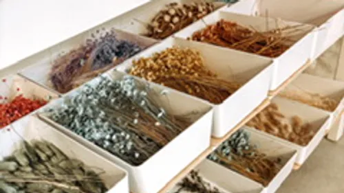 Dried flowers arranged in white trays.
