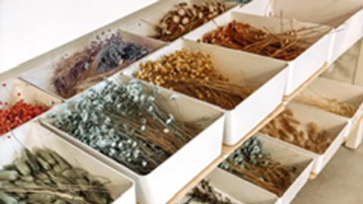 Dried flowers arranged in white trays.