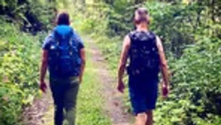 Zwei Personen wandern auf Waldweg.