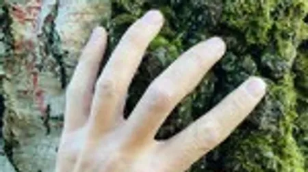 Hand berührt moosbedeckte Baumrinde nah.