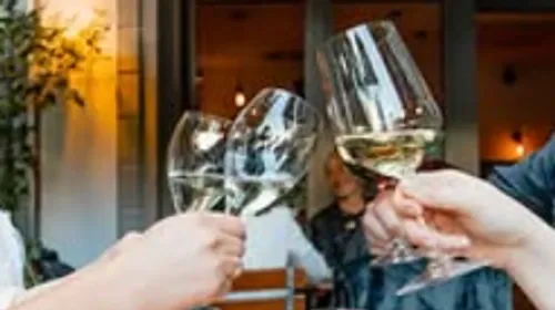 People toasting with wine glasses outdoors.
