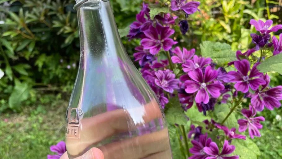 Hand hält Glasflasche bei violetten Blumen.