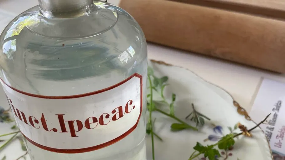 Glasflasche mit Flüssigkeit, Kräuter daneben.