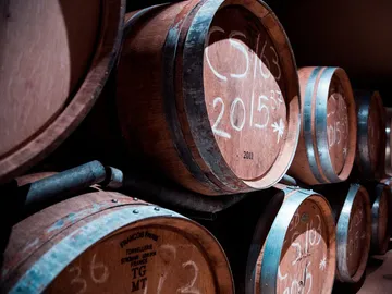 Wooden barrels are stored in a dark cellar room.