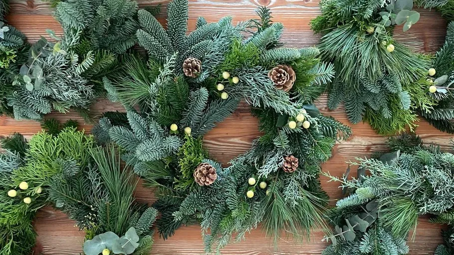 Green wreaths with pine cones on wooden wall.