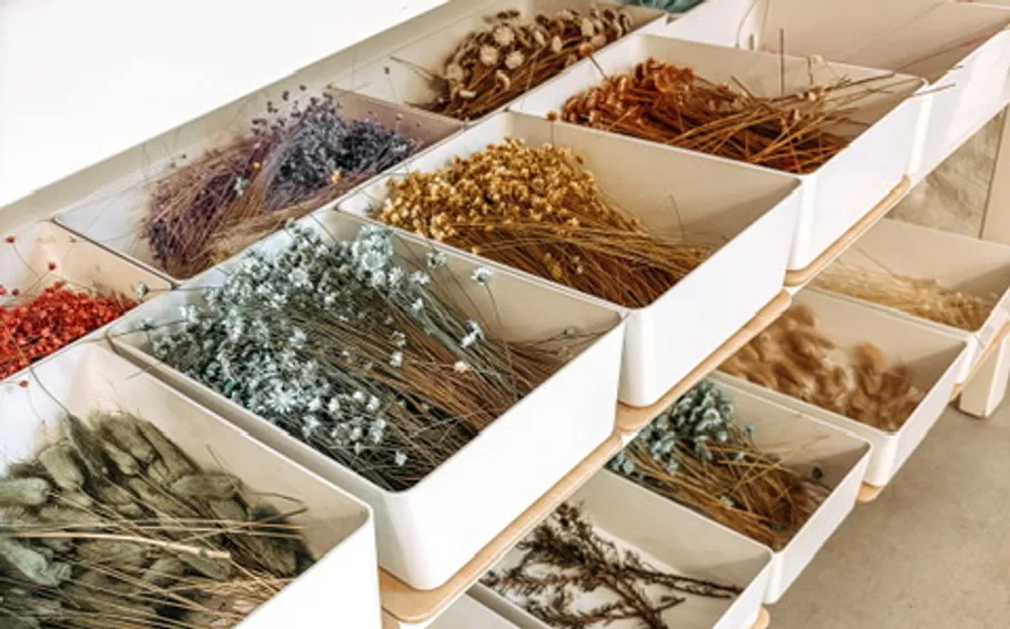 Variety of dried flowers in white bins.