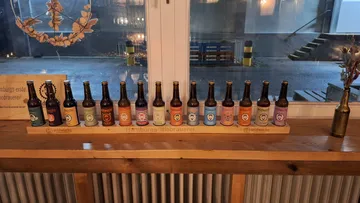 Seventeen beer bottles displayed on a wooden shelf.
