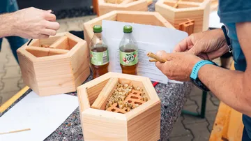 People assembling hexagonal bee houses outdoors.