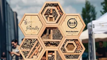 Bienenhotel mit sechseckigen Fächern im Freien.