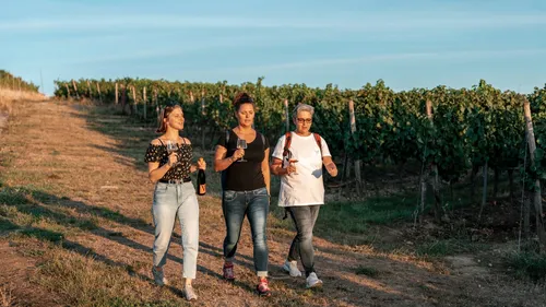 Three people walking in a vineyard, holding wine.