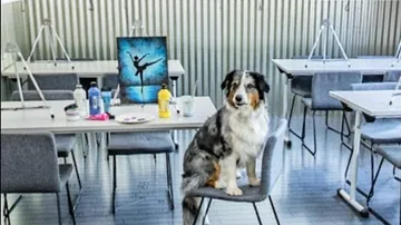 Dog sits on chair in art classroom.
