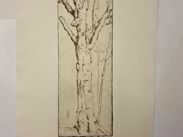 Baumzeichnung auf strukturiertem Papier.