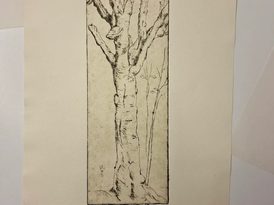 Tree drawing on textured paper.