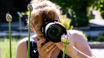 Person fotografiert Blumen im Garten.