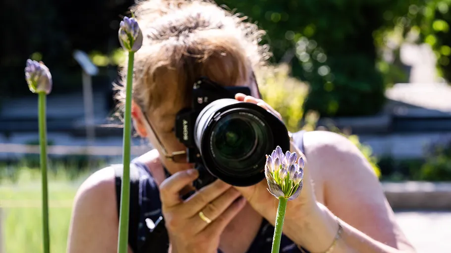 Person photographing flowers in a garden.