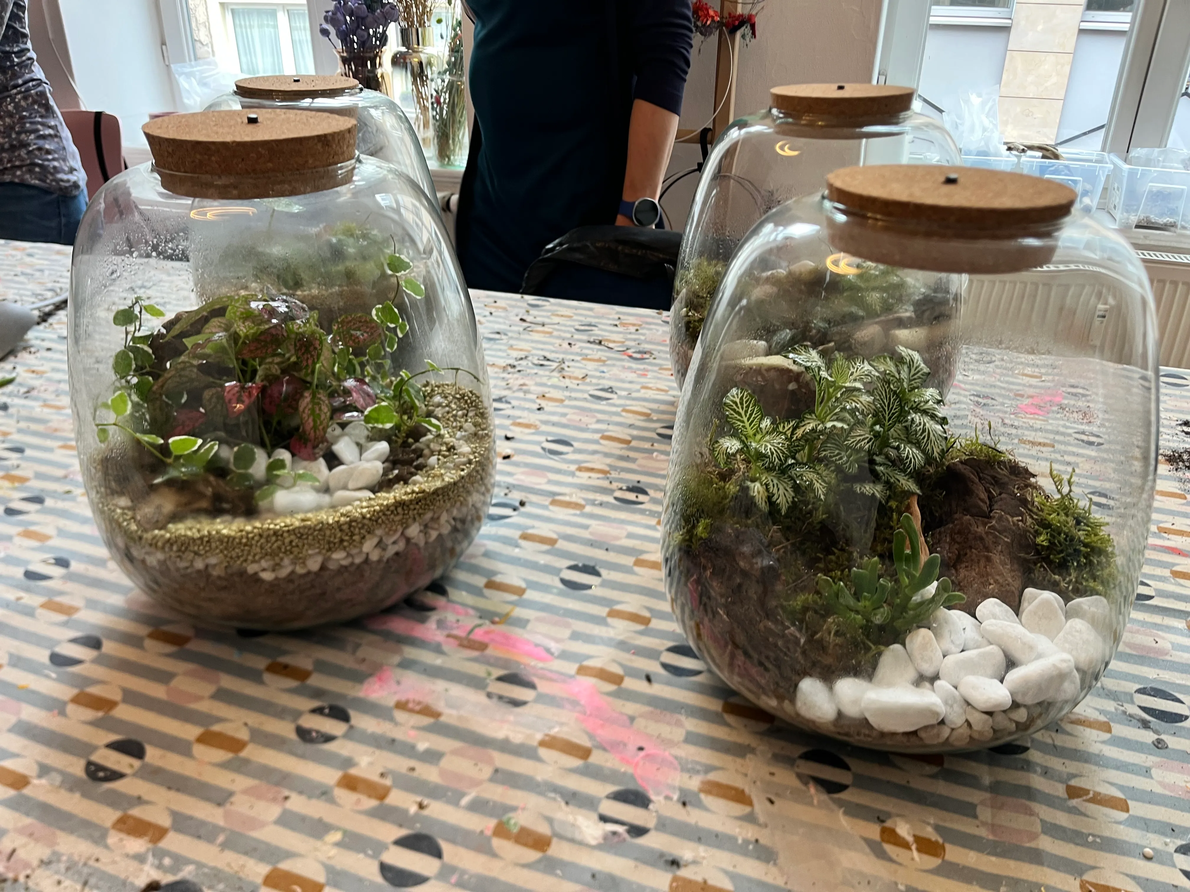 Glass jars with plants on patterned table.