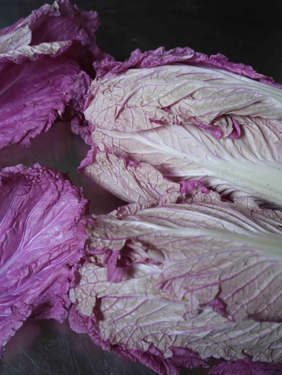 Purple cabbage leaves on a dark surface.